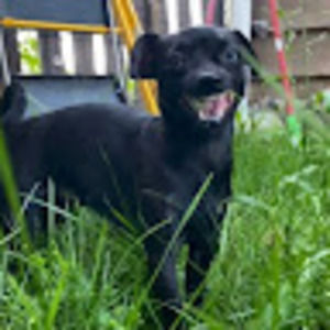 Meet your Posher, Kaleb